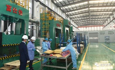 自然資源部領導赴淮調研 深化節約集約利用，評估成效促發展