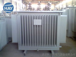 S11-30/10箱式變壓器與油浸式變壓器價格詳解